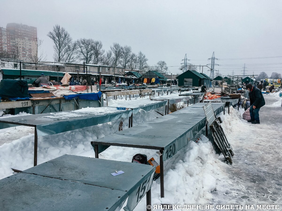 Посетила самый большой блошиный рынок России. Он снова открыт к посещению |  НЕ СИДЕТЬ НА МЕСТЕ | Дзен