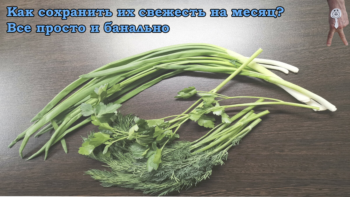 Как сохранить свежесть зелени на месяц? Все просто и банально