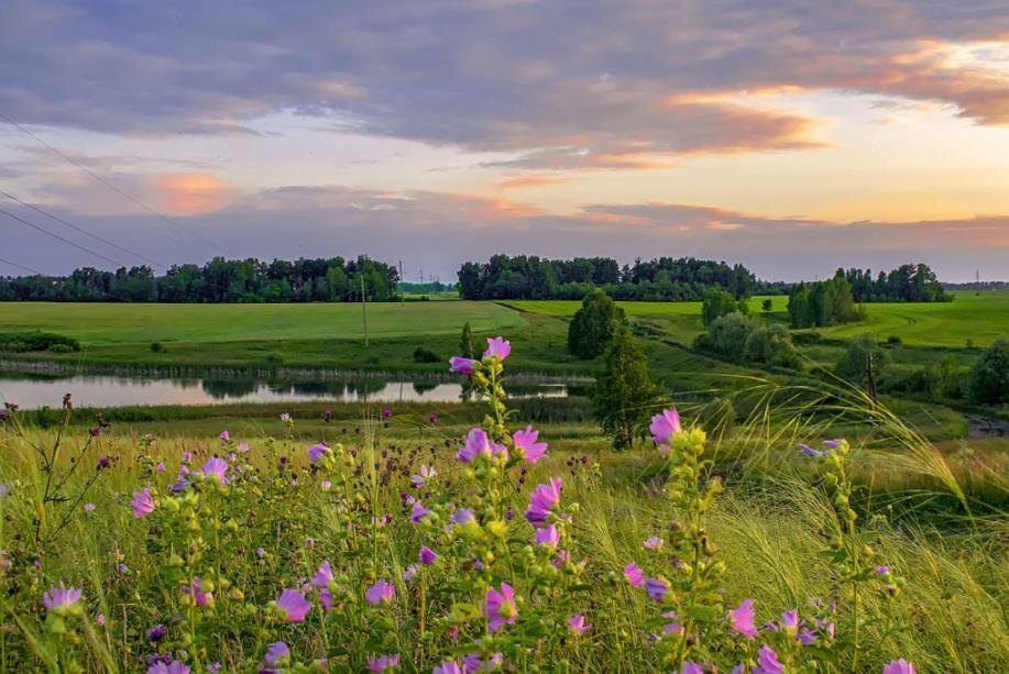 Фото — cont.ws