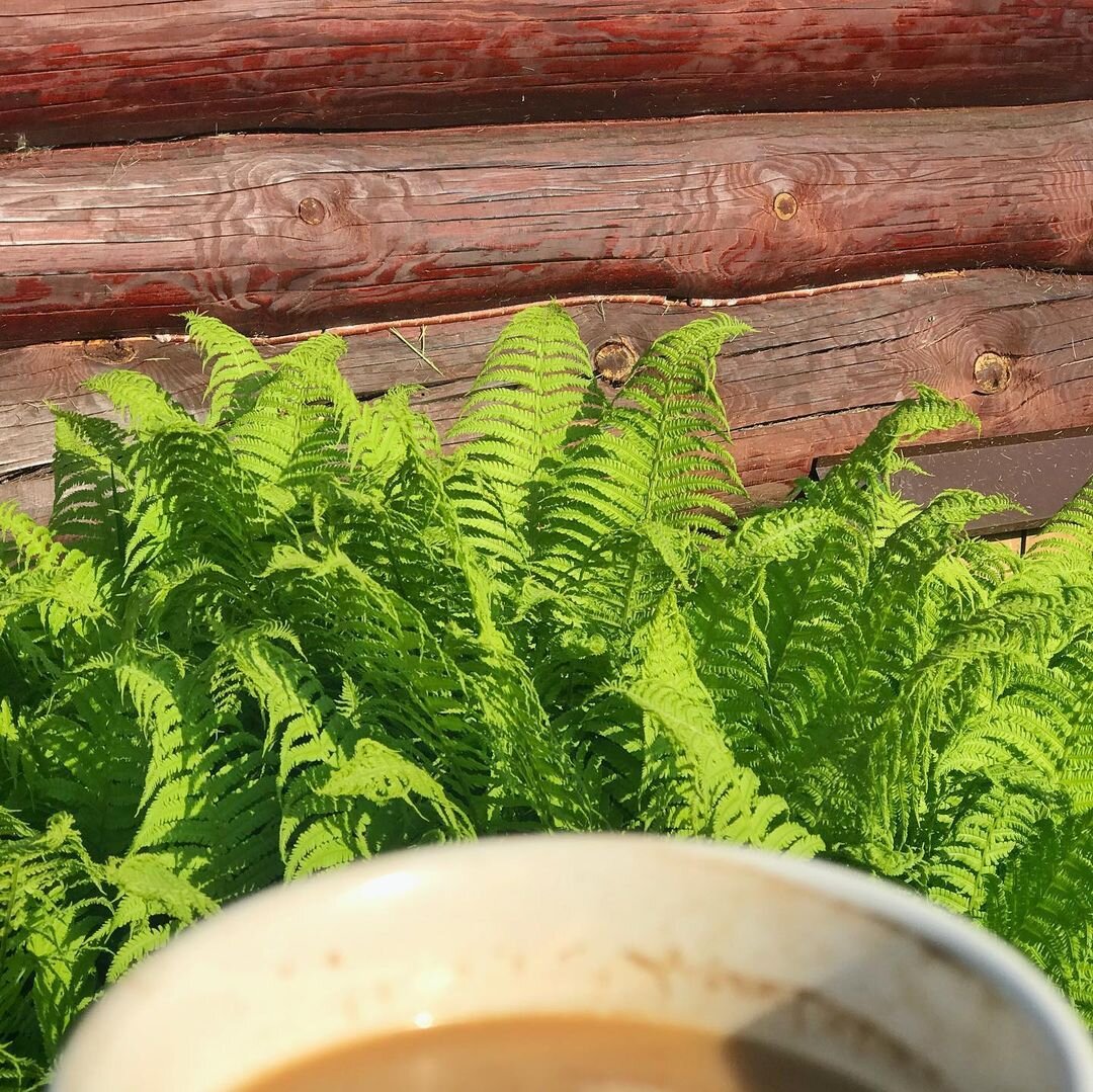 Утренний кофе на даче