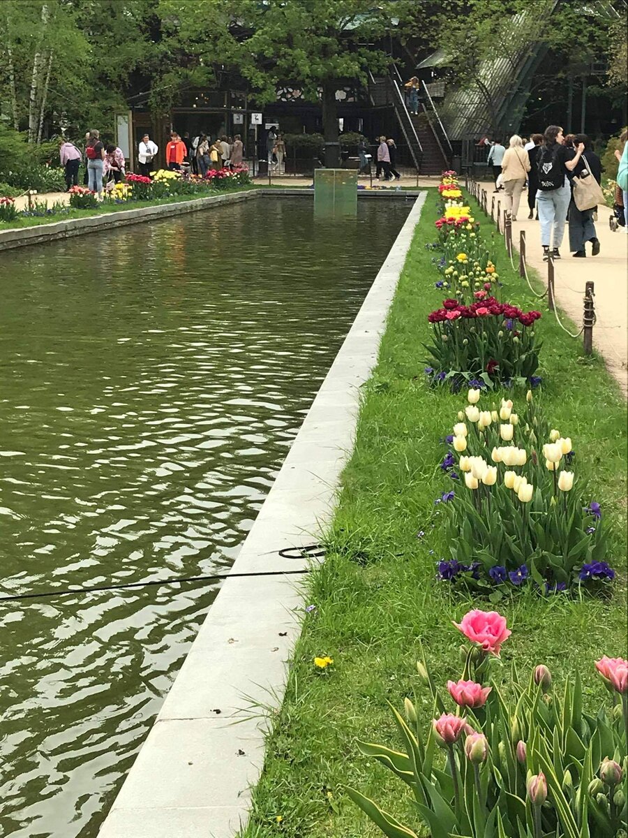 Интересные цветовые композиции