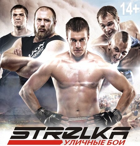 Картинка взята из открытых источников