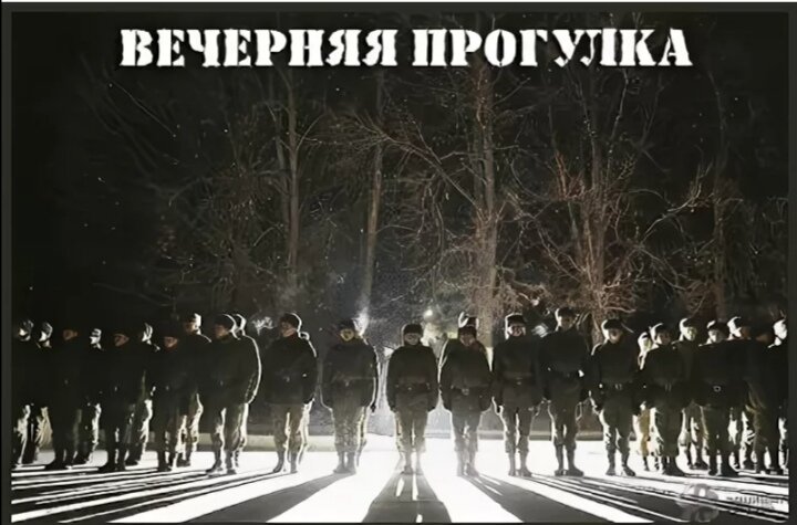 Только мы с котом на кухню. Я предлагаю тебе работу. Рябина ночью. Выйду ночью в кухню с котом текст. Стих про парк для детей.