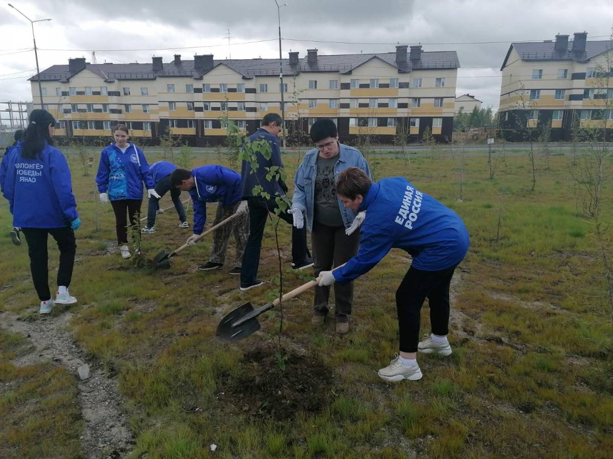 Взято из открытых источников