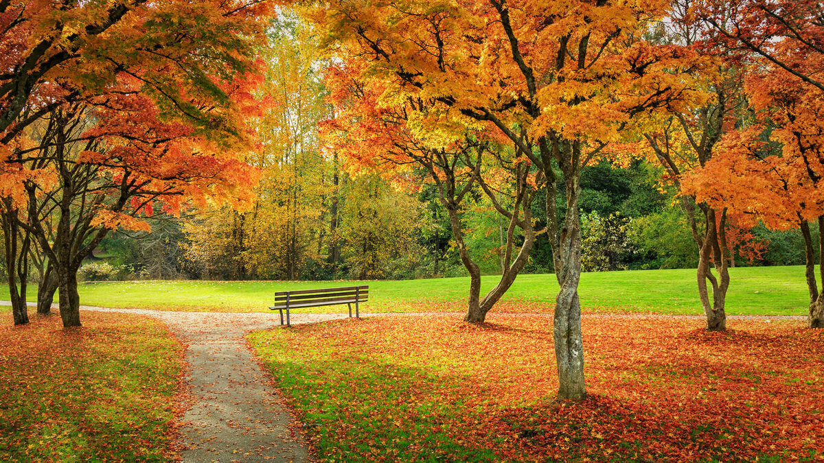 Фото: fonwall.ru         