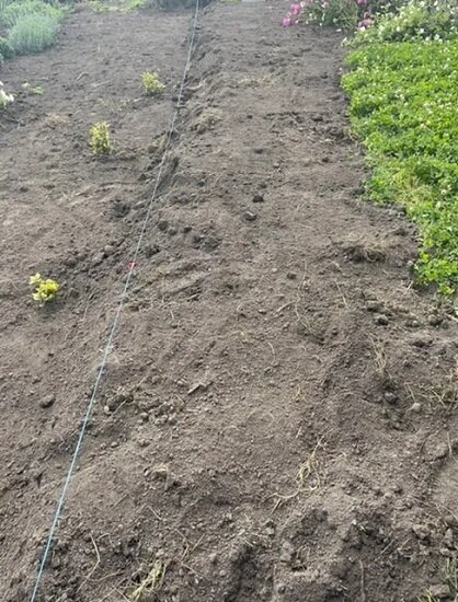 ГРЯДКА ГОТОВА