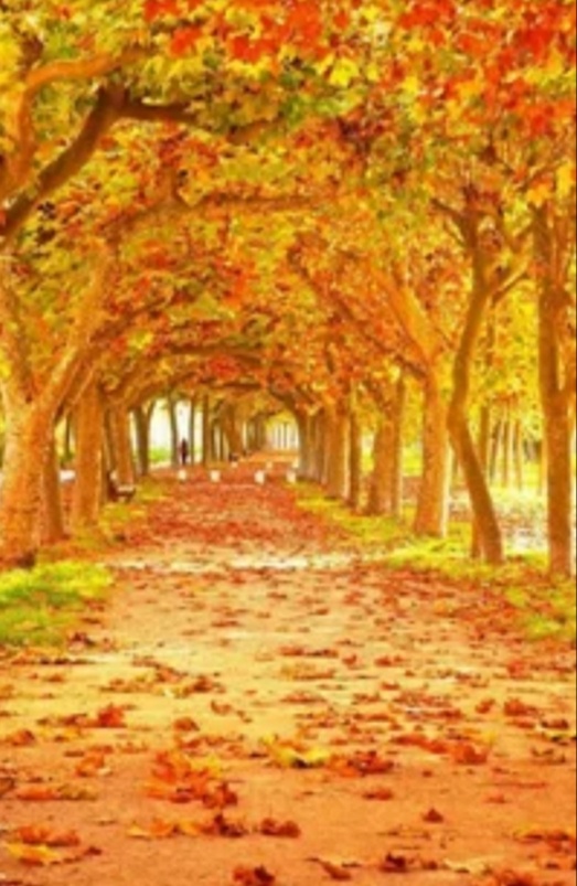 Фото взято из открытого источника в интернете