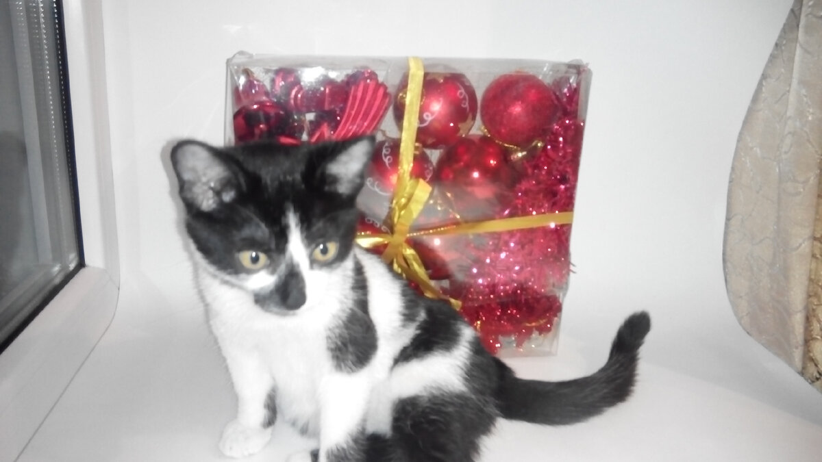 Фото автора