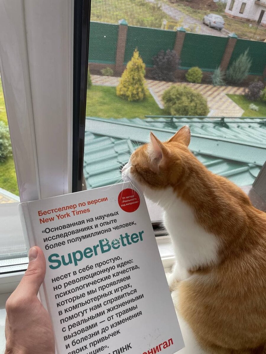 SuperBetter - книга о том как любому человек стать лучше. Системный подход, правда сильно рекламируют свой сайт (он на английском и платный).