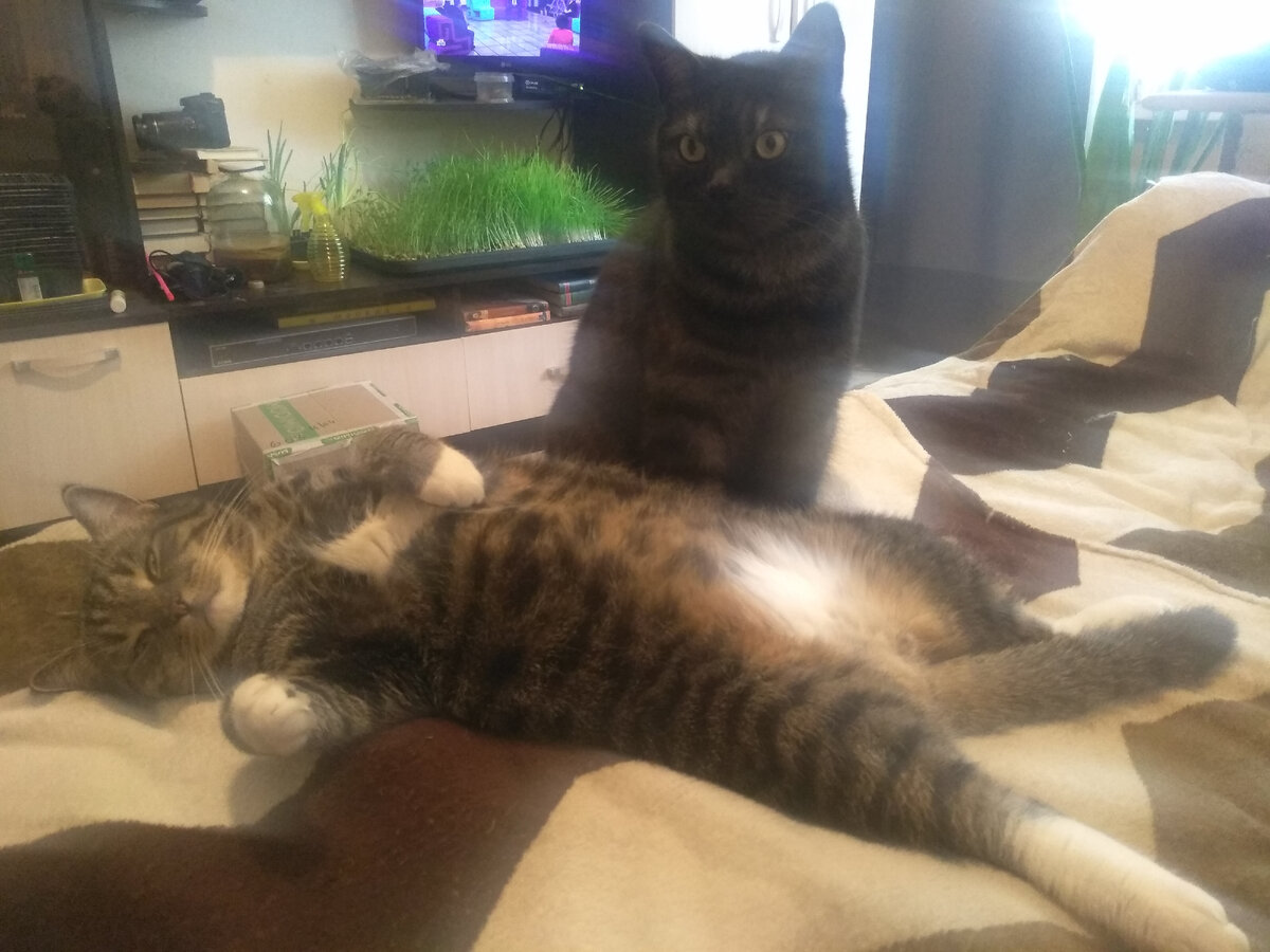 Жизнь удалась!