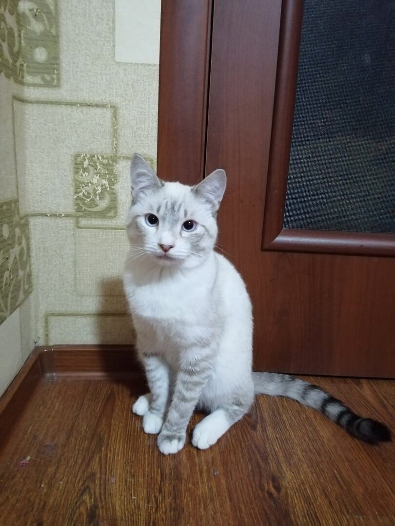 Кося