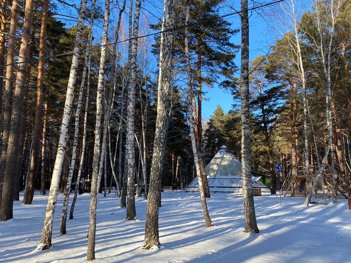 Сосны, чум. Ля-по-та!