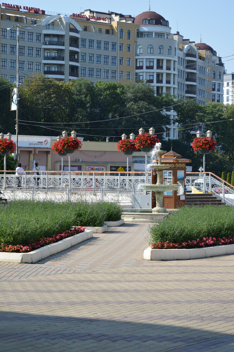 Вазоны с цветами оторваны от земли, но это не вредит им. А вот экономику оторвали от общества - зря.