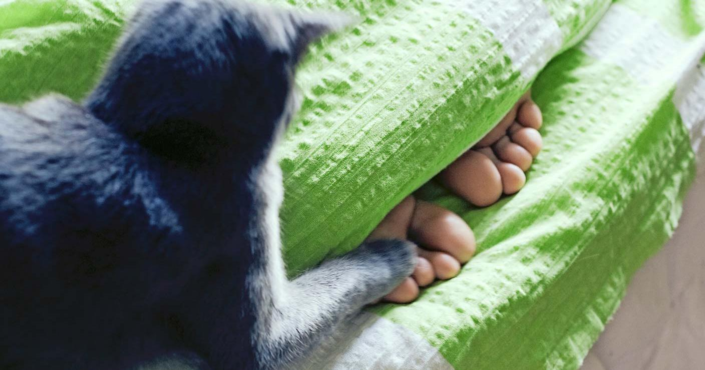 10 утренних привычек, которые ухудшают качество жизни0