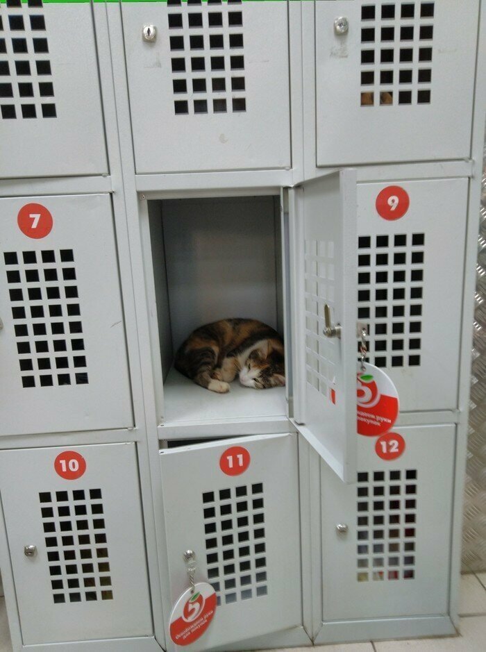 Источник фишки.нет