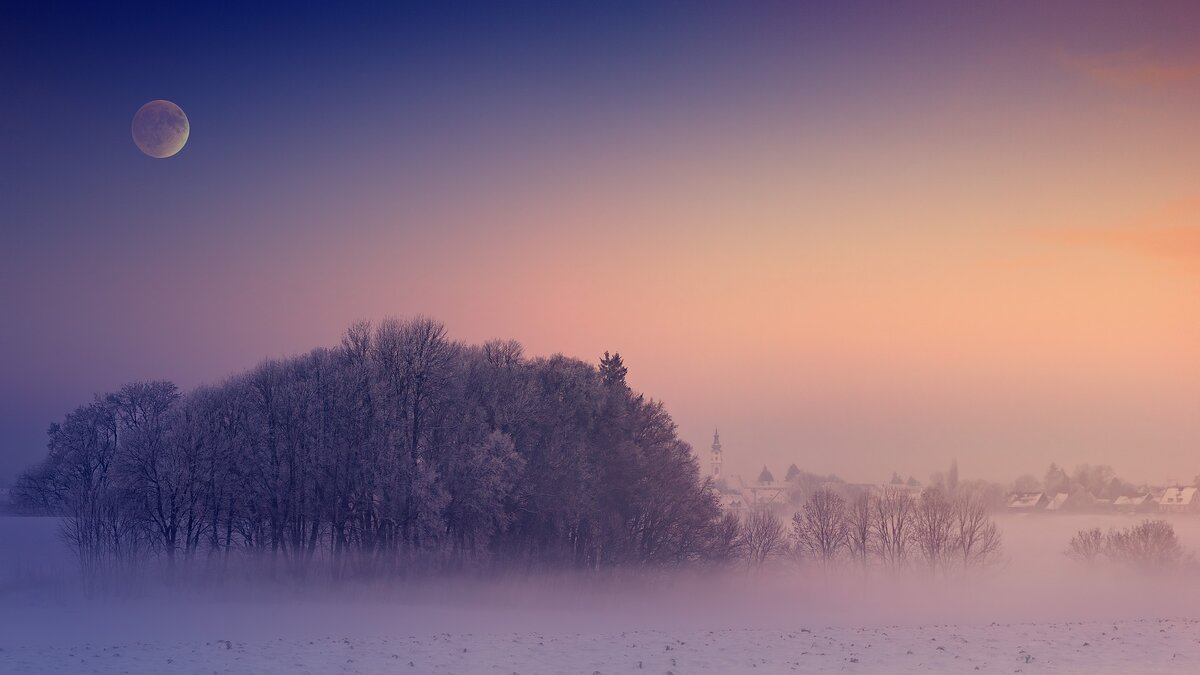В Григорий Летоуказатель можно будет предсказать погоду на лето. Фото: Pixabay 