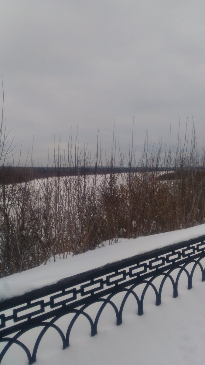 Фотография с прогулки