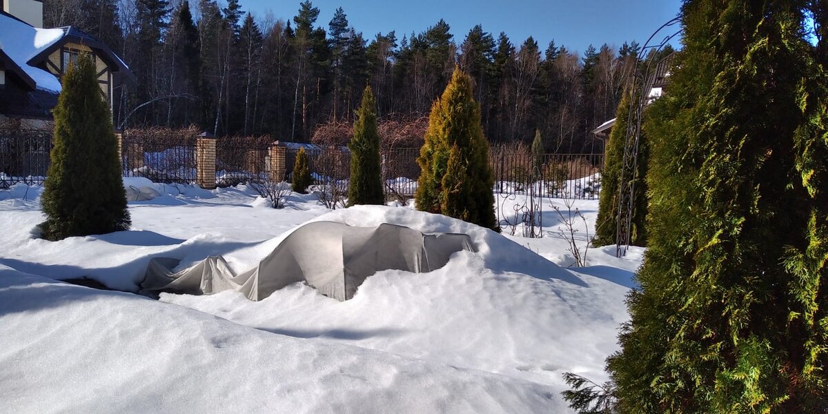 Сухое укрытие 03.03.2021 Снега много, крайняя секция не выдержала и сложилась 😌