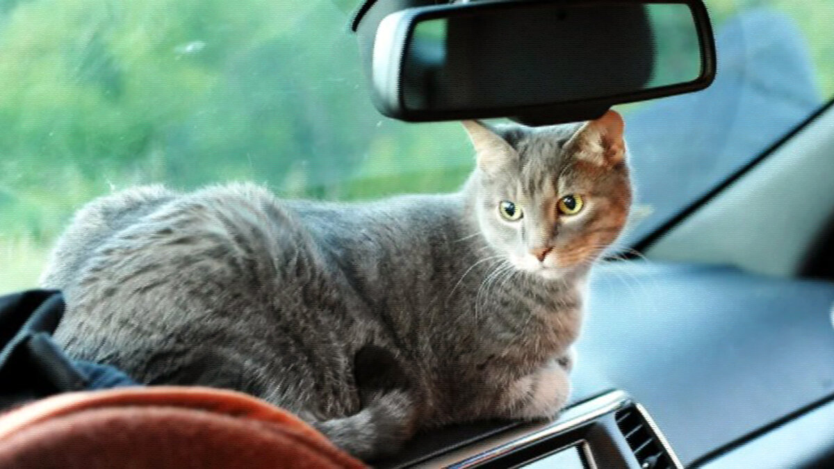 источник фото: travel.drom.ru