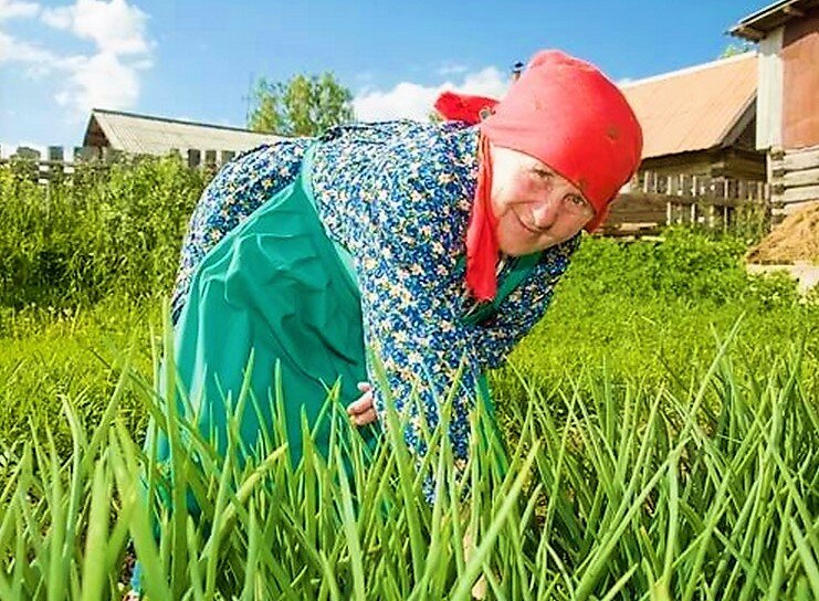 Фото для иллюстрации рассказа из свободных источников