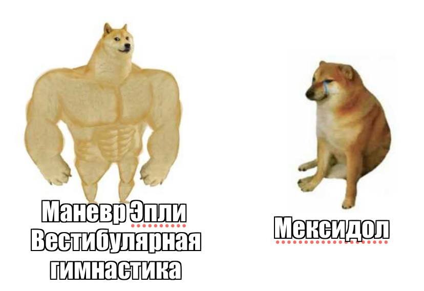 Доктор, кружусь на карусели | Доктор Злата | Дзен