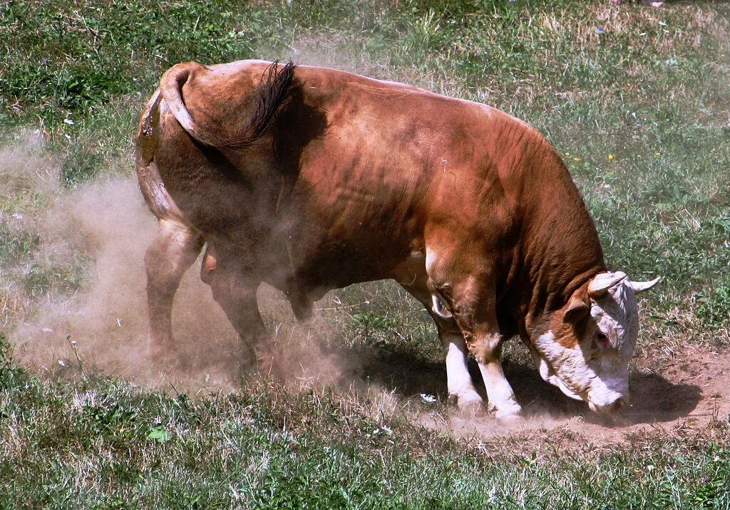 Изменение сайт картинки https://goo.su/Y6BNlNy