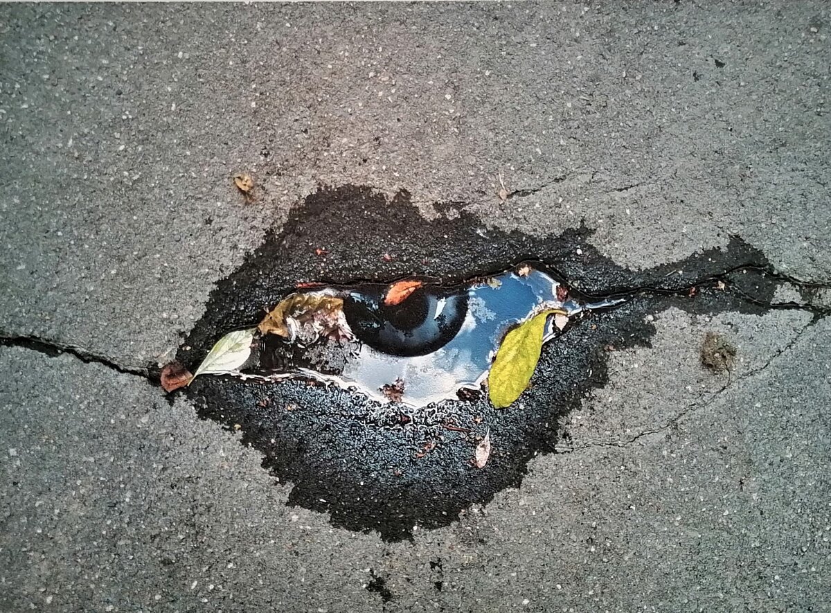 Всевидящее око Дзен (шутка) 