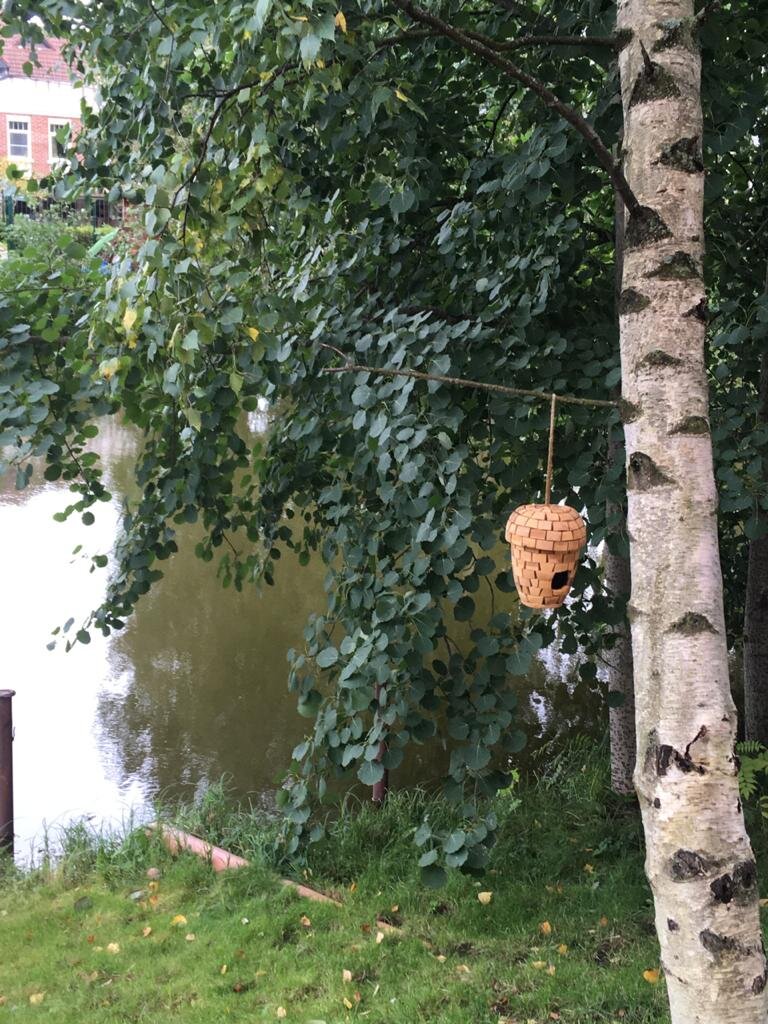 Фото автора.