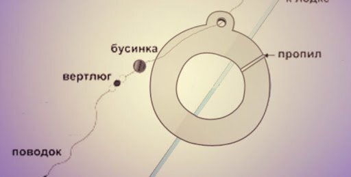 "Кольцо" и рыбаловные "Яйца" что ловят на таую снасть? | Рыбное Место ...