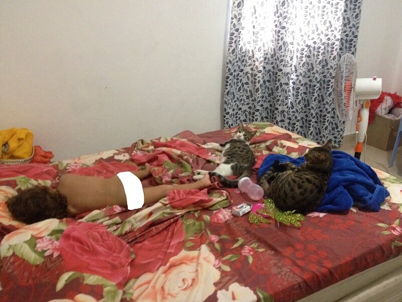 Всем на месяц больше. Диане без одного дня два года, Дукати 10 месяцев, Энсо полгода