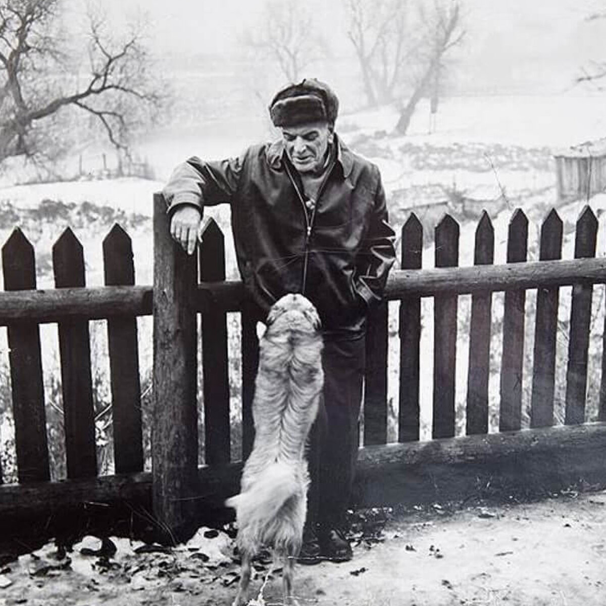 Константин Паустовский и его любимая дворняга Грозный, 1962 год. Фото Филиппа Халсмана.