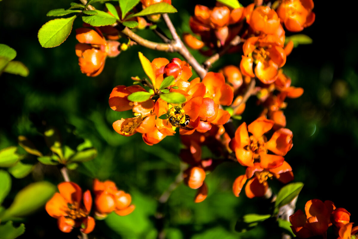 фото с https://unsplash.com/