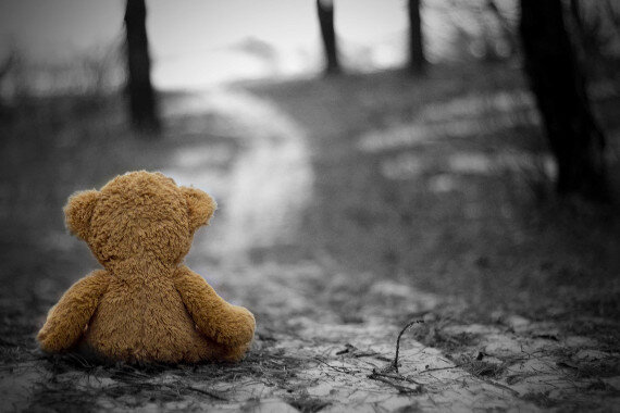 Брошенный медвежонок.