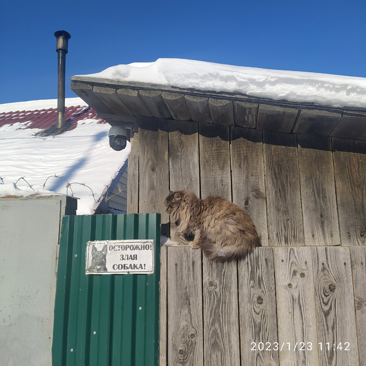 Осторожно, злая собака!