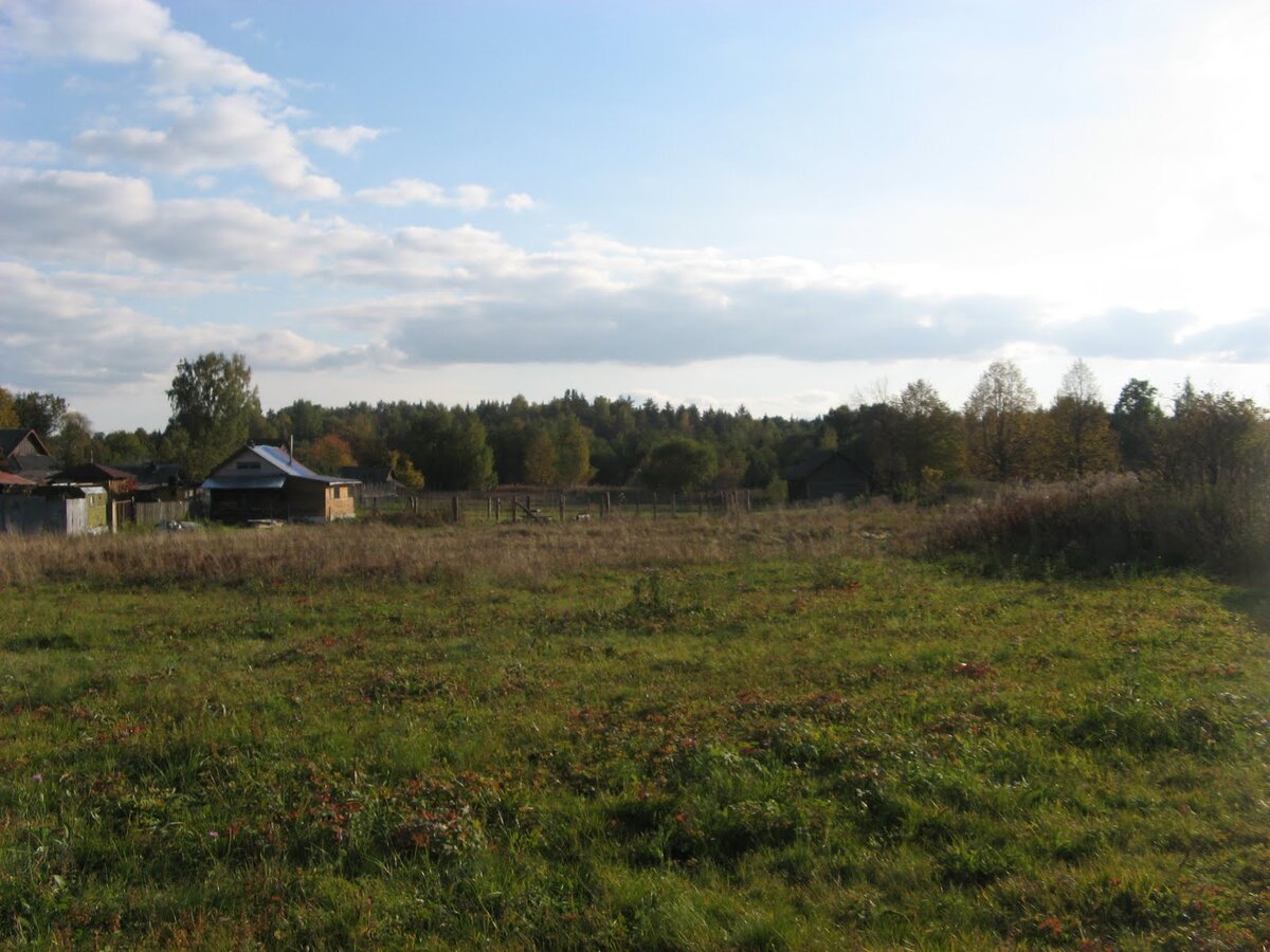 Фото Александра Терентьева