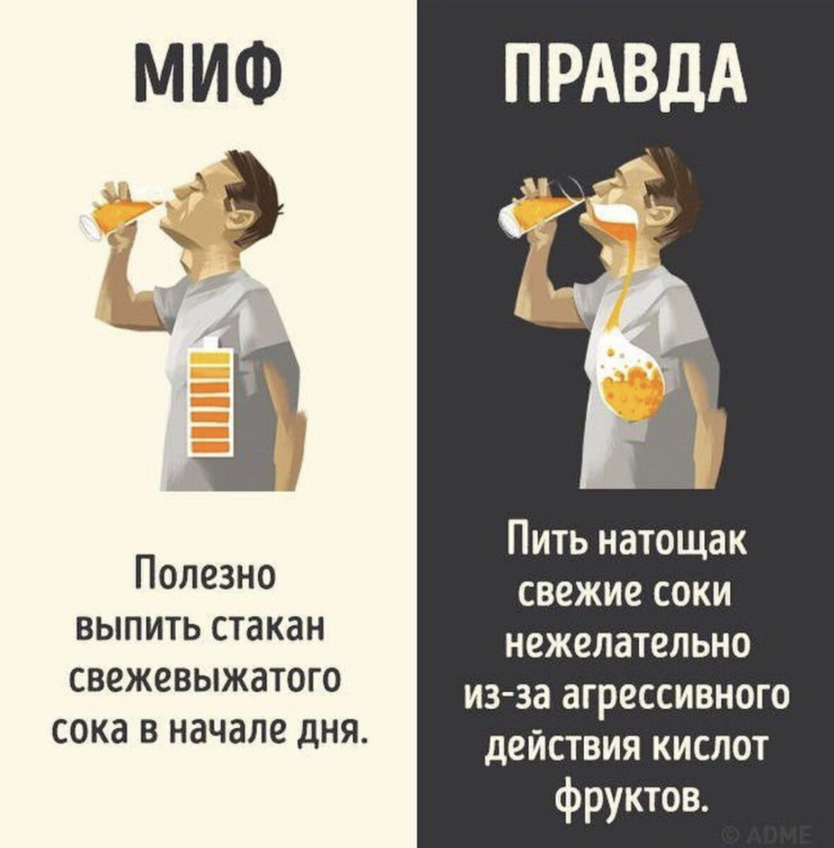 Миф правда