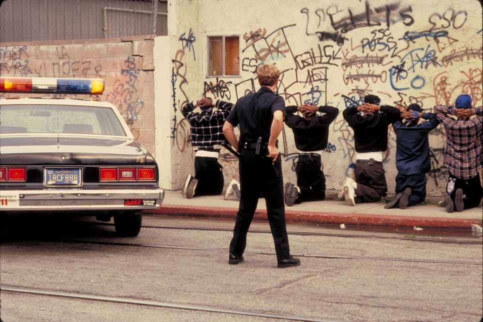 Яндекс картинки. Свободный доступ.