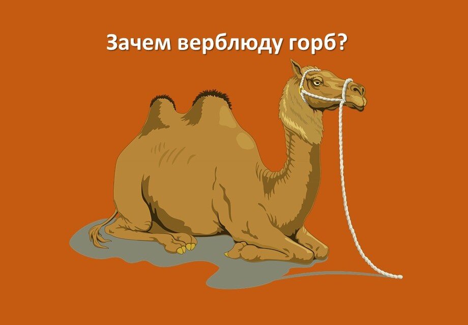 Обложка теста