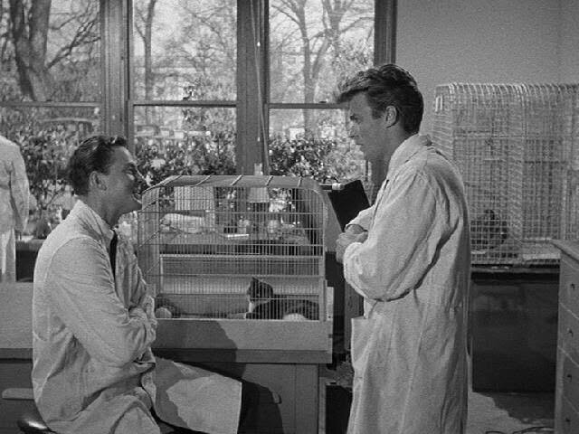 Кадр из фильма "Месть Твари", 1955 г.