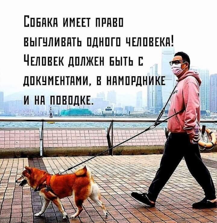 картинка из интернета сути не меняет