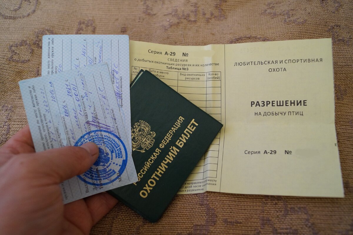 Рассказываю Какие Документы Нужны, Чтобы Охотиться В Общедоступных.
