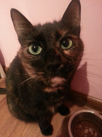 Фото автора. Наверное, такое же выражение было у меня, когда прочитала отзывы под рекламным постом  :)