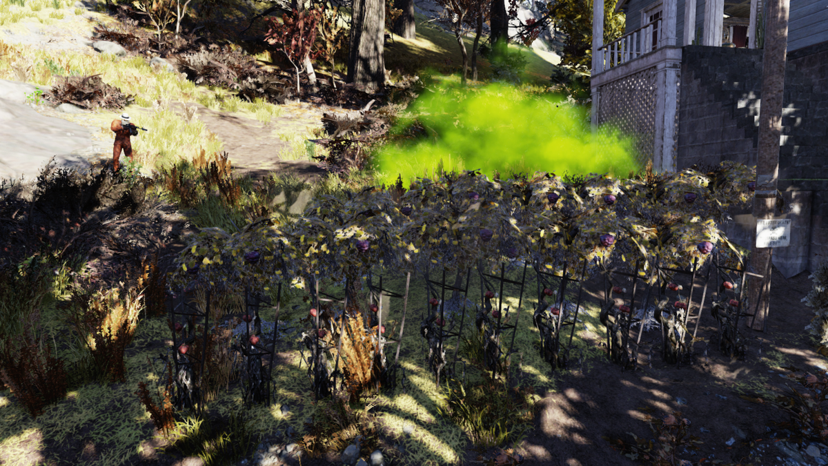 Fallout 76: удобрение "Турбоферт" в действие