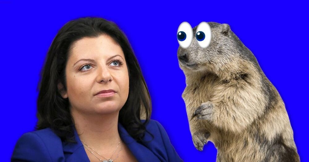 Бедная боброедушка из RT