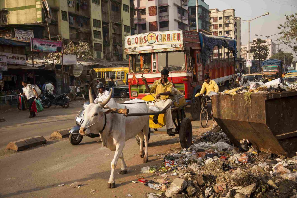 Проблемы страны. Проблемы индии. Индия проблемы страны. Проблемы индии кратко. Современные проблемы индии.