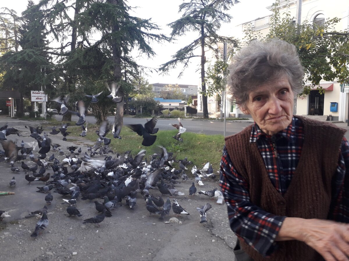 Маро Минджия уже 27 лет кормит и выхаживает сухумских голубей. 
