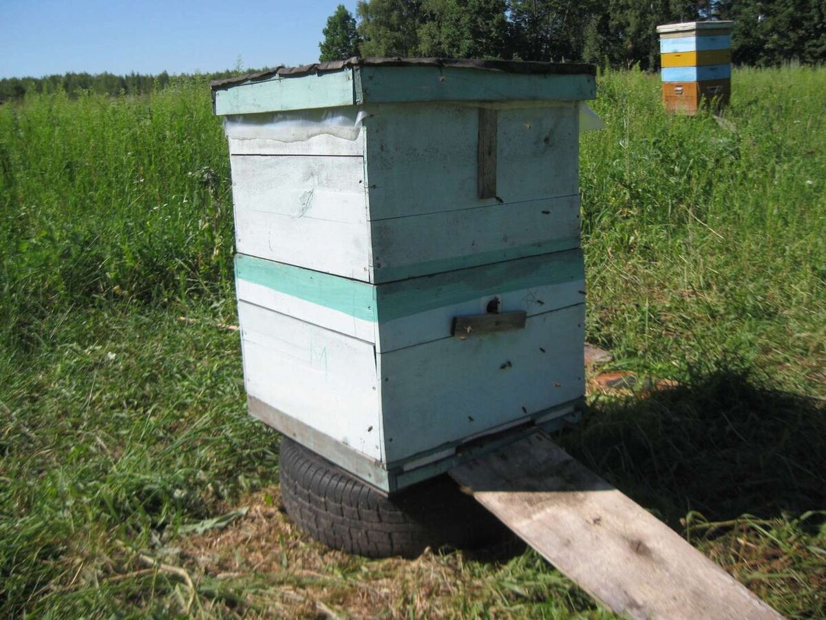 Пример улья  "на покрышке" 