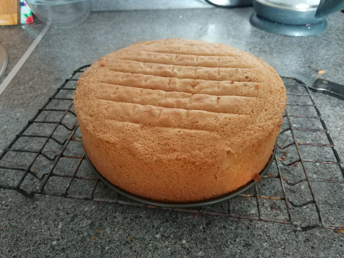 Коржи для пиццы