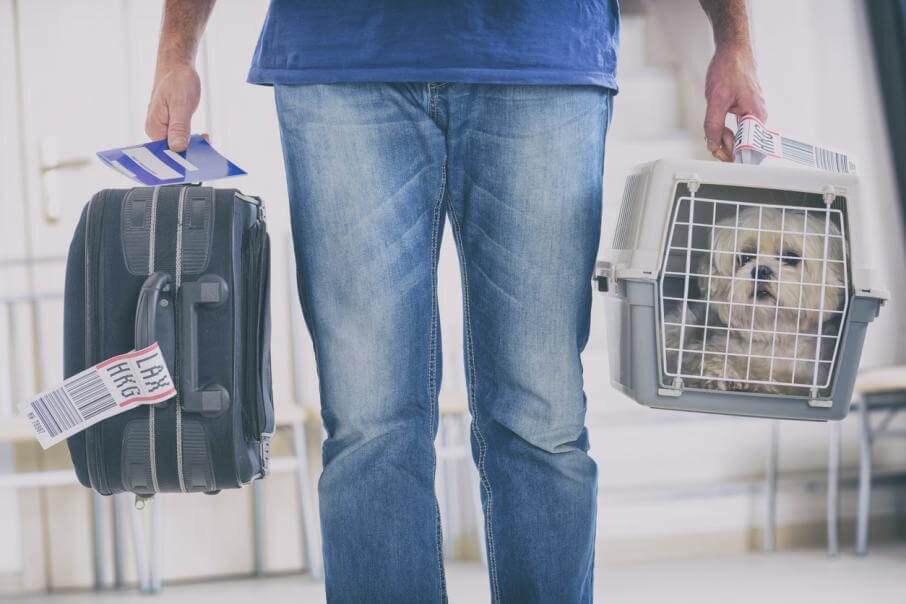 Фото: iStock.com