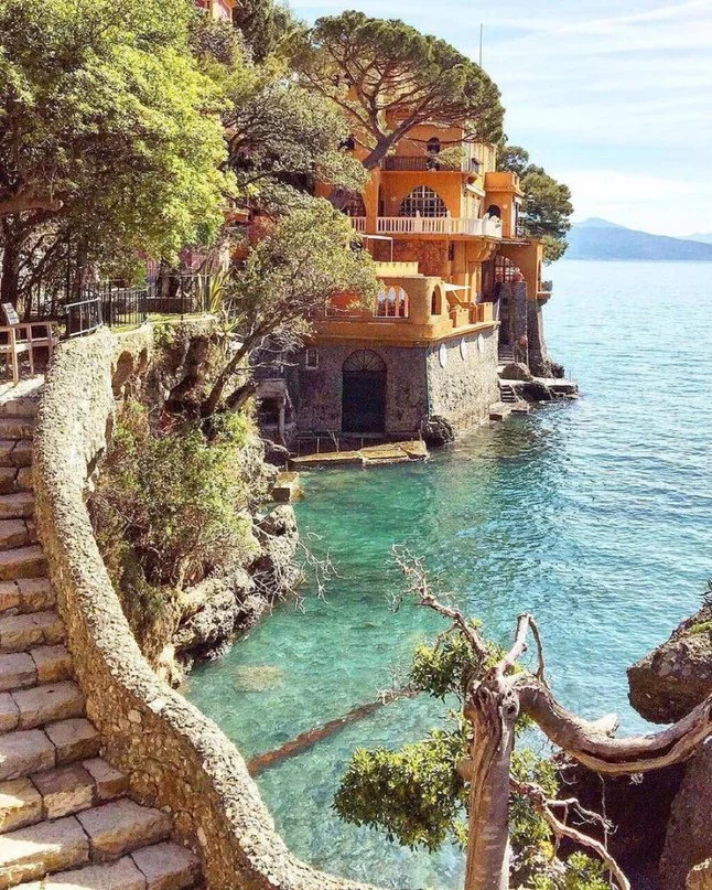 Фото из открытого источника